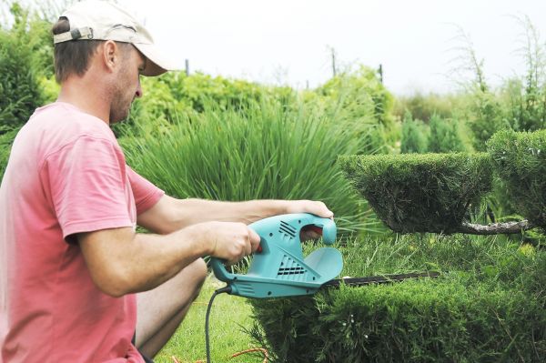 Topiary Service