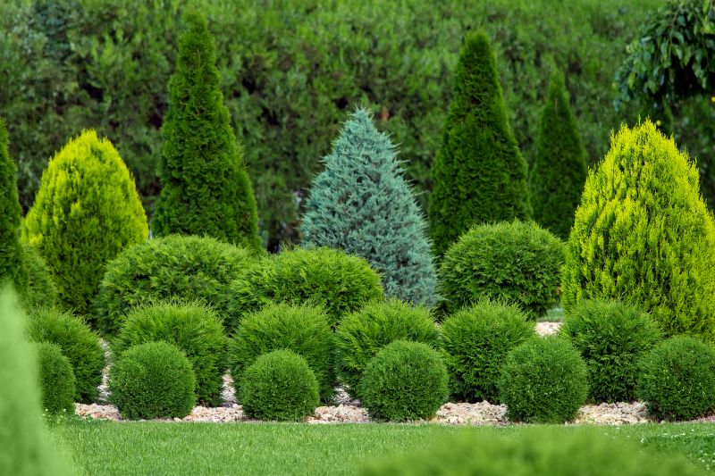 Shrubbery Trimming