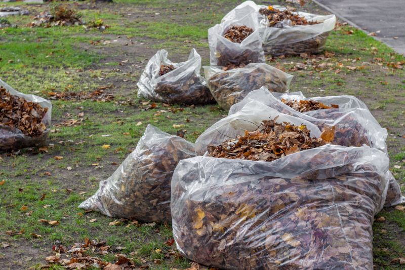 Leaf Collection in Bags