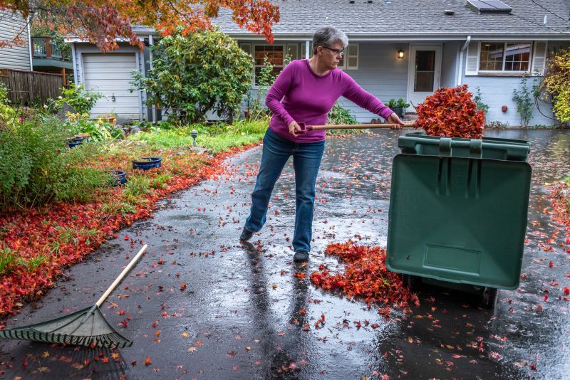 Neighborhood Street Clean-up