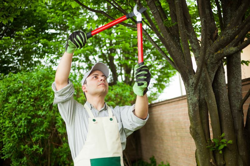 Customized Shrub Care